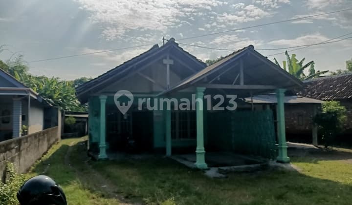 Di Jual Rumah,Di Kel. : Jambi Kec. : Baron Kab : Nganjuk