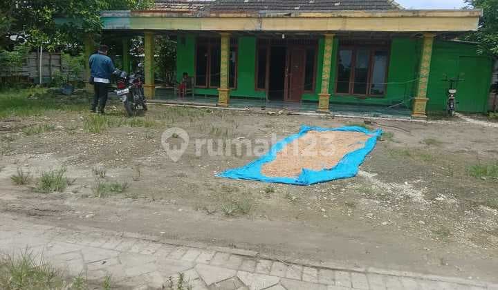 House for Sale, Village: Leran Subdistrict: Kalitidu Regency: Bojonegoro