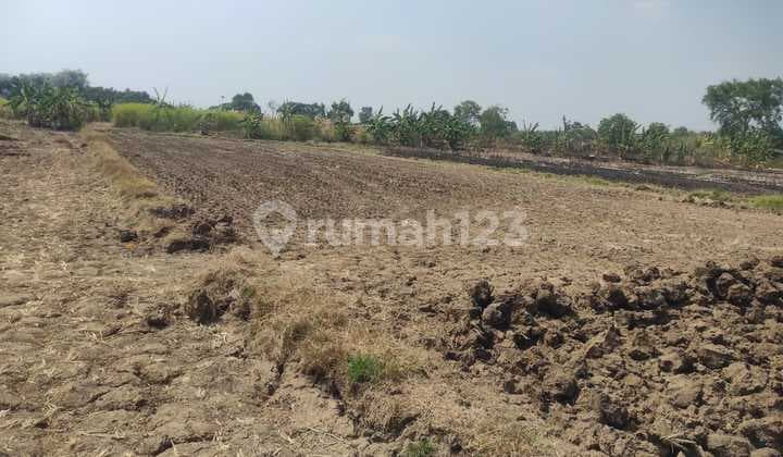 Di Jual Tanah,Di Kel. : Sarirejo Kec. : Sarirejo Kab : Lamongan
