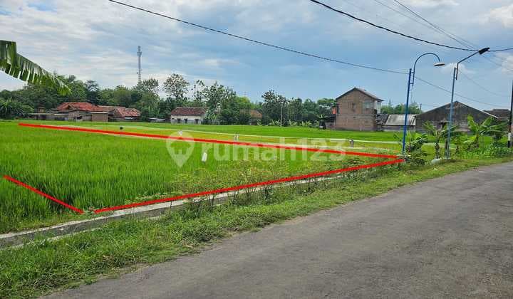 Di Jual Tanah,Di Kel. : Dolopo Kec. : Dolopo Kab : Madiun