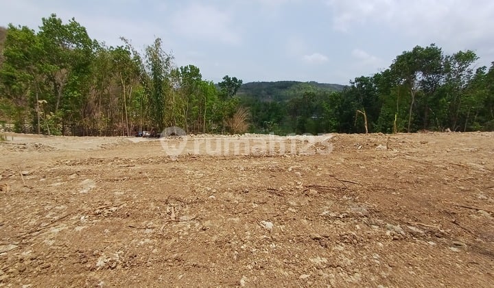 Kavling Murah 200Meter ke Jalur Lintas Selatan