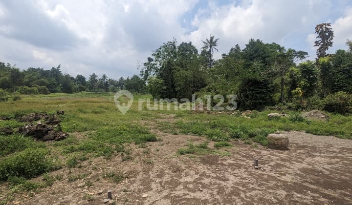 Tanah Jogja Strategis Dekat Kopi Klotok