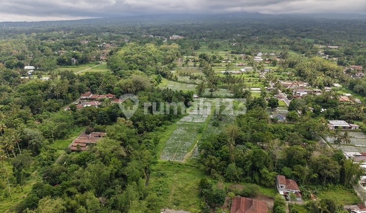 Tanah Jogja Strategis 8 Menit Dari Kampus Uii Sisa 1 Kavling Strategis Kaliurang