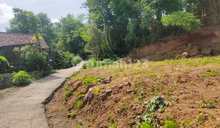 Tanah Imogiri Jogja bisa Dicicil 12X Tanpa Bunga