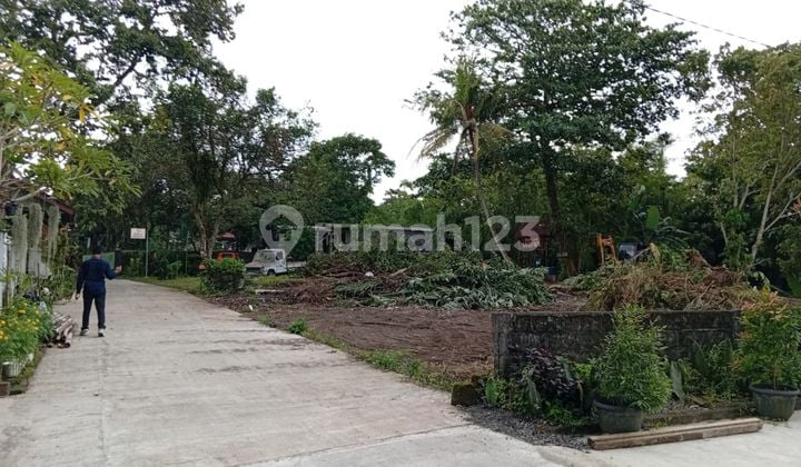 Tanah Jogja 3Jutaan Cocok untuk Villa