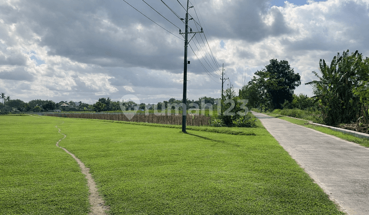 Land in Jogja for 3 Million Near UMY Campus - Suitable for Residential or Exclusive Boarding House