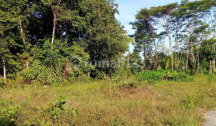 Tanah Siap AJB Ngemplak Timur Pasar Jangkang