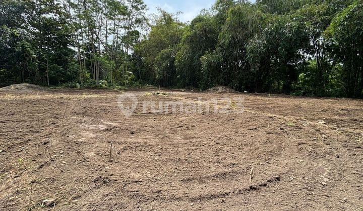 Siap AJB Tanah Utara Lapangan Denggung Sleman