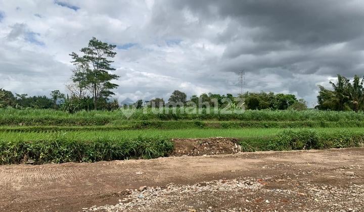 Tanah SHM Strategis Mangku Jl Pandowoharjo Sleman
