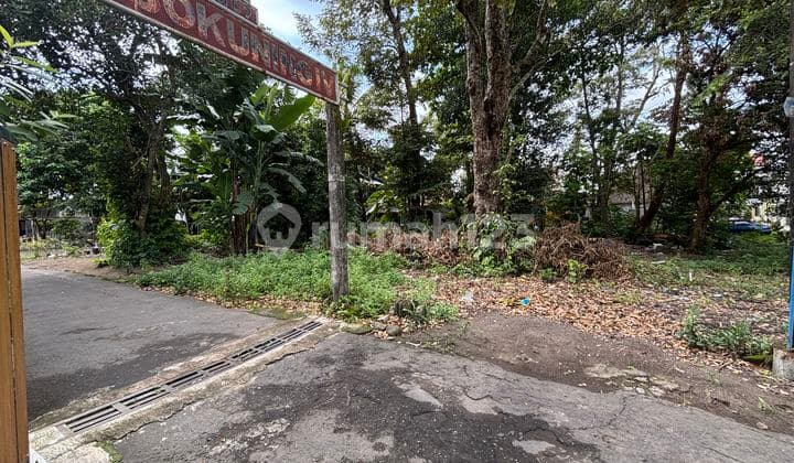 Tanah Minomartani Sleman Selatan Tengkleng Gajah