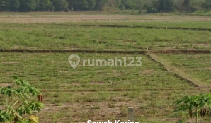 Dijual Tanah Lahan di Cipeundeuy Subang