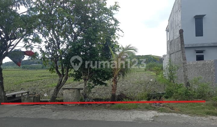 Dijual Tanah Sawah Strategis Depan Perumahan Siap Bangun Dekat Smpn 4 Sewon, Bangunjiwo, Kasihan, Bantul