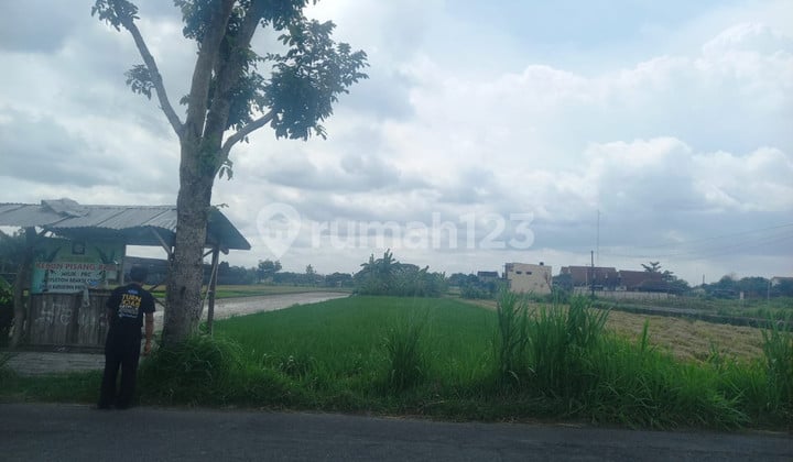 Dijual Tanah Sawah Produktif di Lokasi Strategis Dekat Rs Pantirini , Bokoharjo, Prambanan ,Sleman