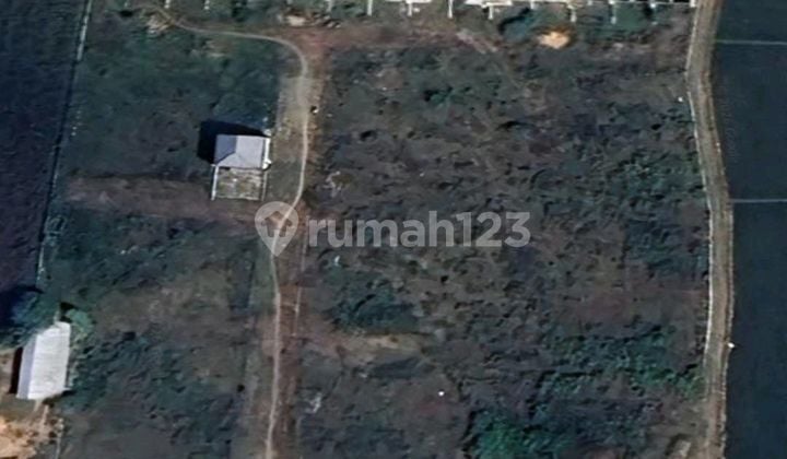 Nego Keras Lahan 8400M² Dekat Pantura Tuban