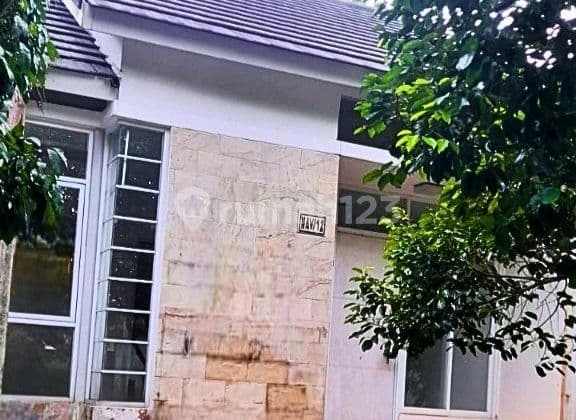 Cluster Acacia Serpong Natura Garden