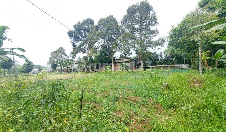 Tanah Kebun Produktif di Jalan Raya Gunung Salak Endah