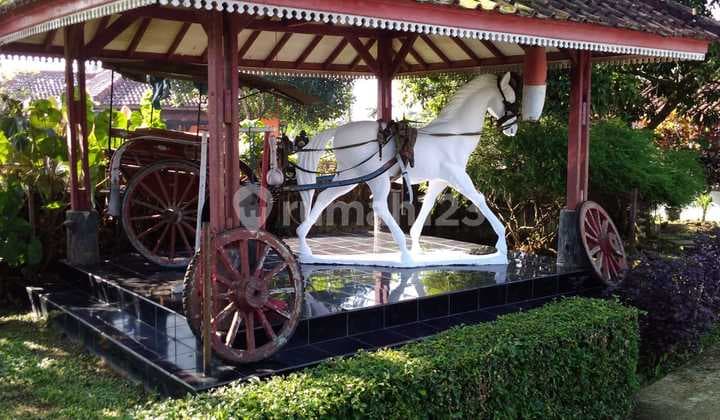 For Sale House + 8,100 Wide Garden