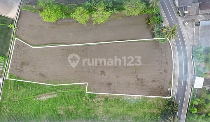 Yogyakarta Investment Land, 5 Minutes to UII & BRI University