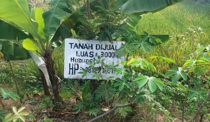 Dijual Tanah Strategis Dekat Exit Tol Ngawi
