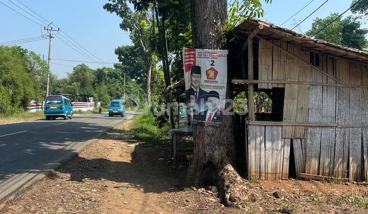 Dijual Tanah Murah 18.5 Ha, Harga Rp85rb/M2, Rangkasbitung Lebak