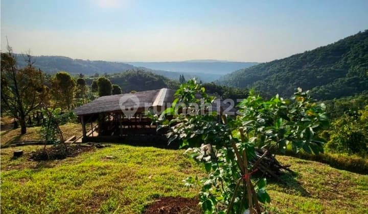 Strategic Investment: 11 Ha Freehold Land in Sukabumi, Productive Garden and Exclusive Location for Hotel/Villa/Agrotourism