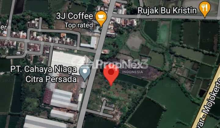 For Sale, Cheap Land Morowudi Cerme