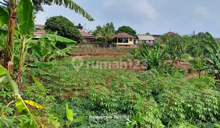 Tanah Luas 3.378 M² SHM di Pasir Pogor Bogor, Dekat Warso Farm Durian - Cocok untuk Investasi & Kebun