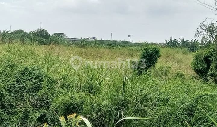 Dijual Tanah Area Cerme