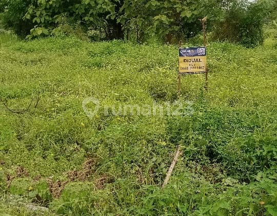 Dijual Tanah di Driyorejo, Gresik