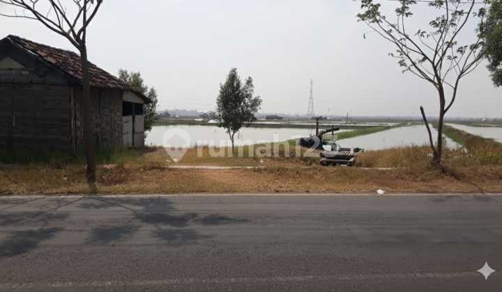 Tanah Tambak Nol Jalan Raya Jawar ,Benowo Surabaya