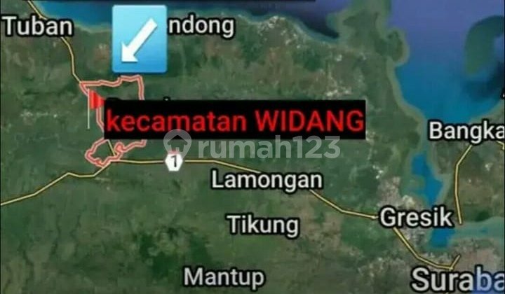 Tanah Posisi Nol Jalan Raya Cocok untuk Industri di Widang Tuban