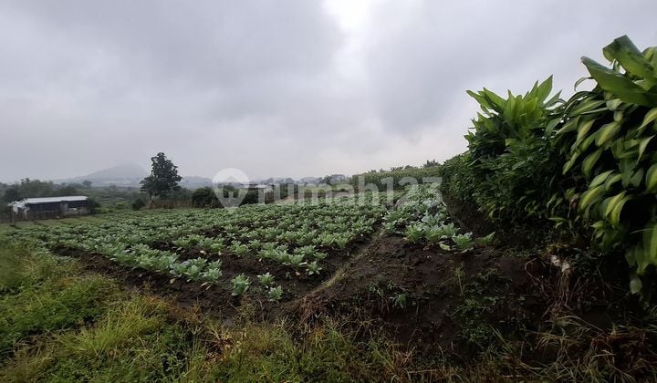 Tanah Murah di Daerah Junrejo, Batu