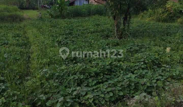 Tanah Murah di Daerah Binjai Selatan, Binjai