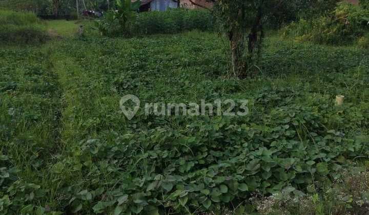 Tanah Murah di Daerah Binjai Selatan, Binjai