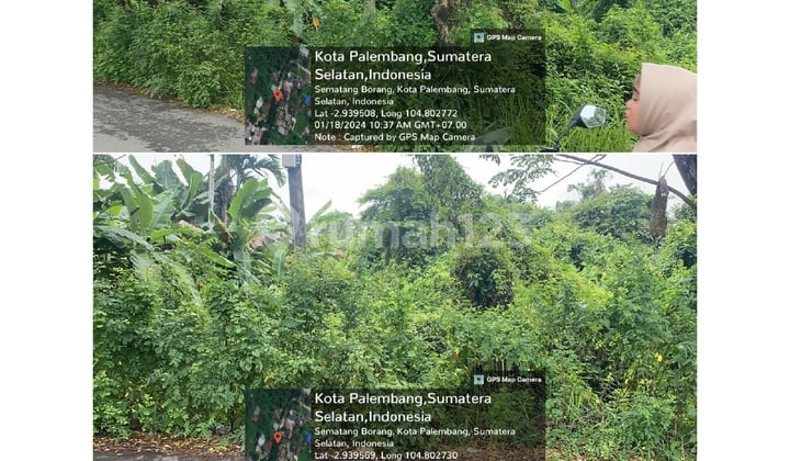 Tanah Murah di Daerah Sematang Borang, Palembang