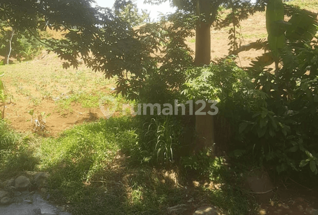 Tanah Murah di Daerah Dawe, Kabupaten Kudus