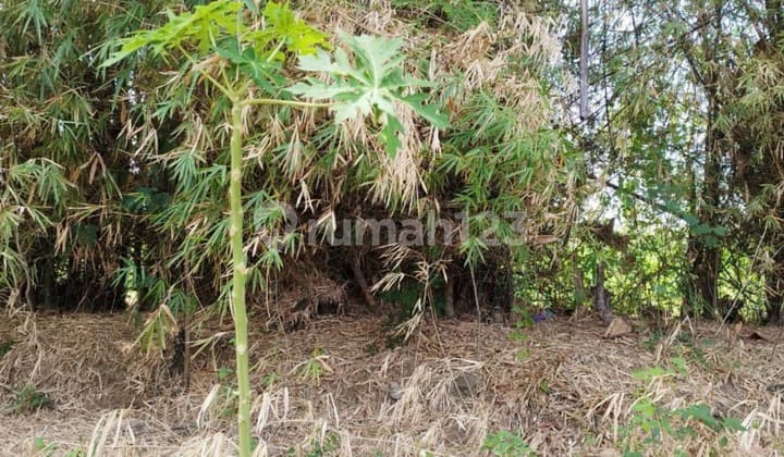 Cheap Land in Karas Area, Magetan