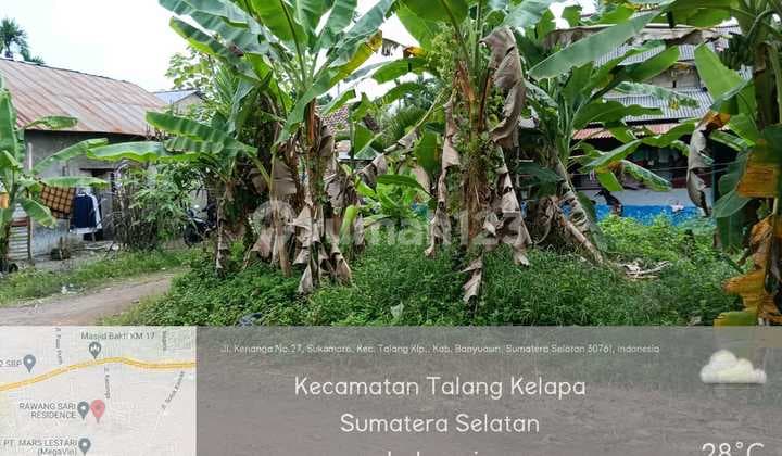 Tanah Murah di Daerah Talang Kelapa, Banyuasin