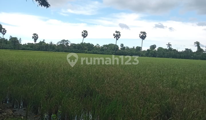 Tanah Murah di Daerah Jl Bonto Poko Makassar