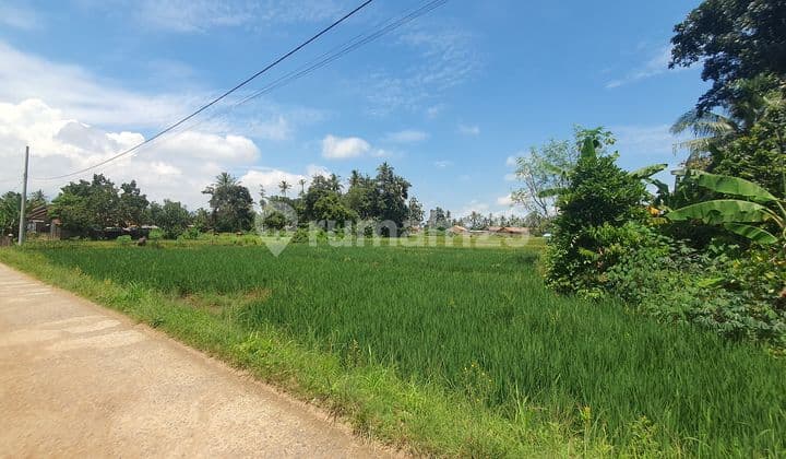 Tanah Murah di Daerah Natar, Lampung Selatan