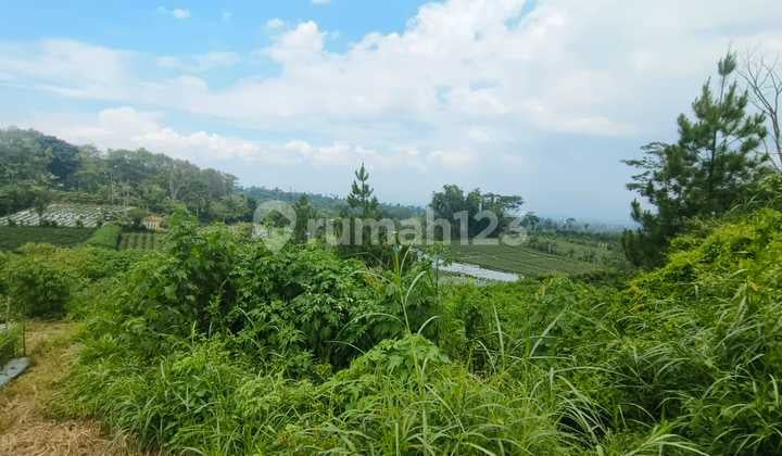 Cheap Land in Karangploso Area, Malang