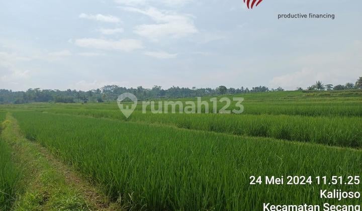 Tanah Murah di Daerah Secang, Magelang