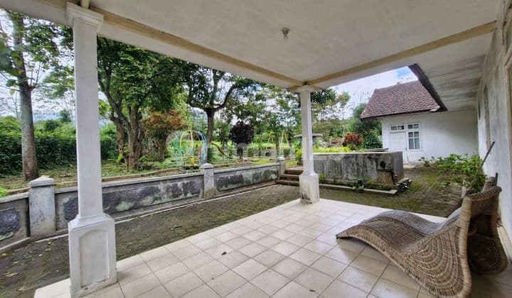 ‼️ *Rare Find in Batu!**Villa for Sale Near Bns Batu City* Huge Garden - High Value & Rare in Batu's Premium Area