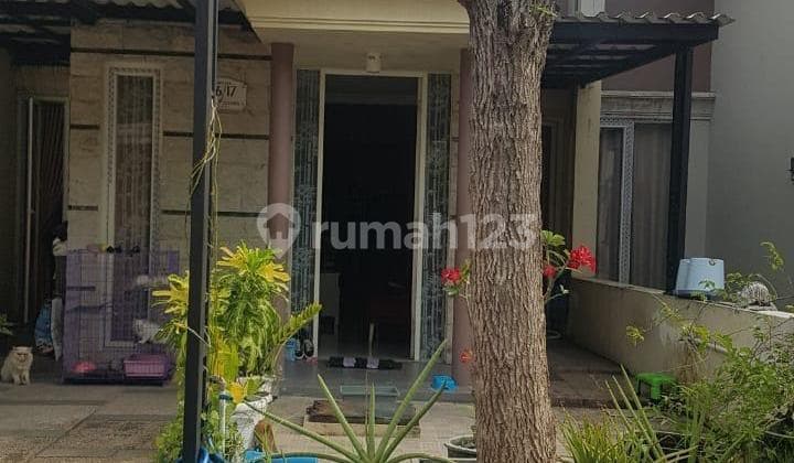 Rumah Dijual Cepat Lokasiperum Safira Juanda Resort