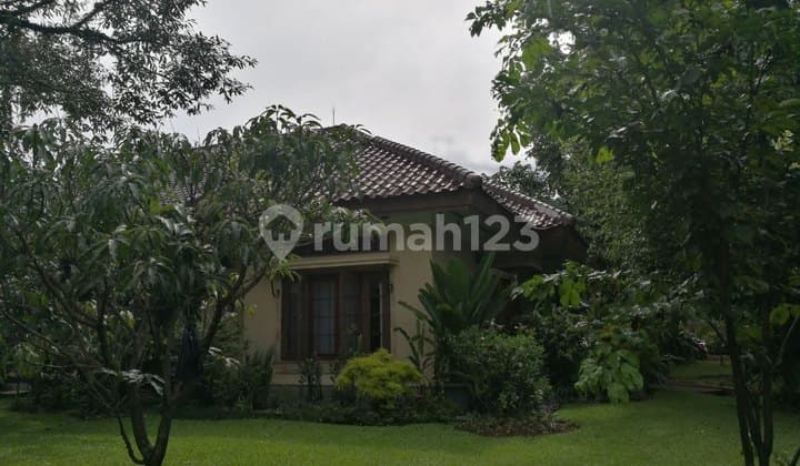 Jual Rumah Bogor bisa untuk Jadi Villa Bagus SHM