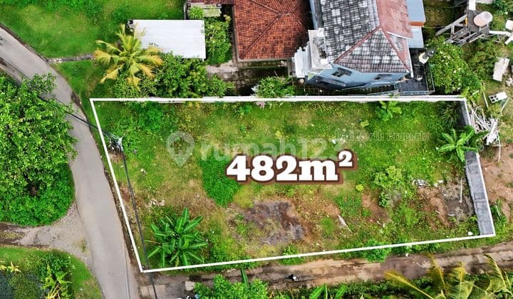 Premium Land For Sale In Lovina North Bali