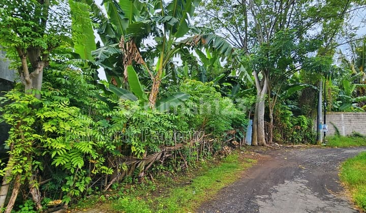 Tanah, SHM, di Lovina