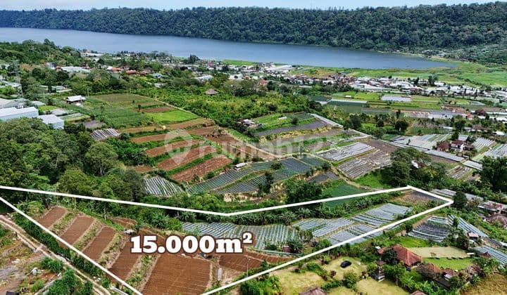 For Sale Super Premium Land with Lake View in the Hills of Northern Bali