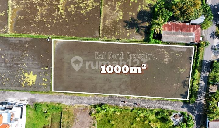 Premium Land For Sale In Lovina North Bali