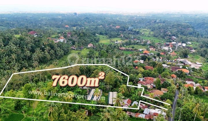Premium Land For Sale In Sambangan Village North Bali